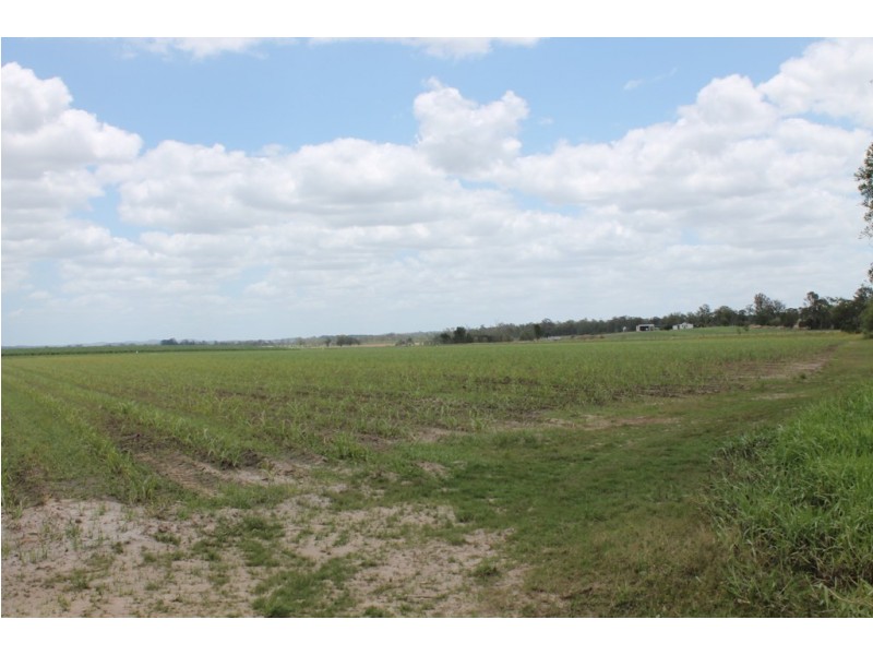 256 Drinan Rd, Wallaville QLD 4671