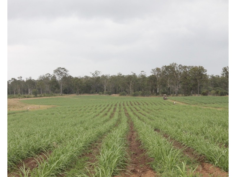 256a Drinan Road, Drinan QLD 4671