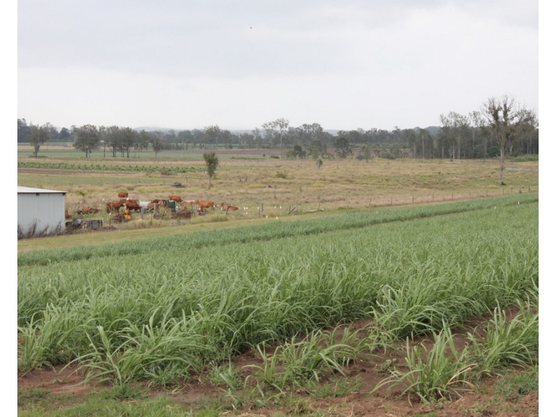 256a Drinan Road, Drinan QLD 4671