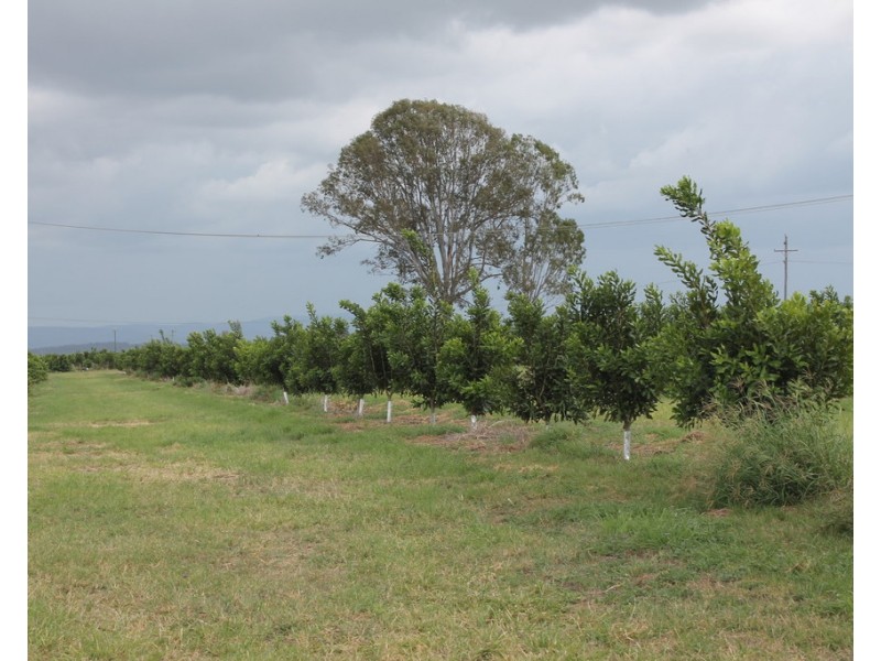 256a Drinan Road, Drinan QLD 4671