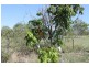 118 Gilgai Road, Delan QLD 4671