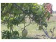 118 Gilgai Road, Delan QLD 4671