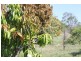 118 Gilgai Road, Delan QLD 4671
