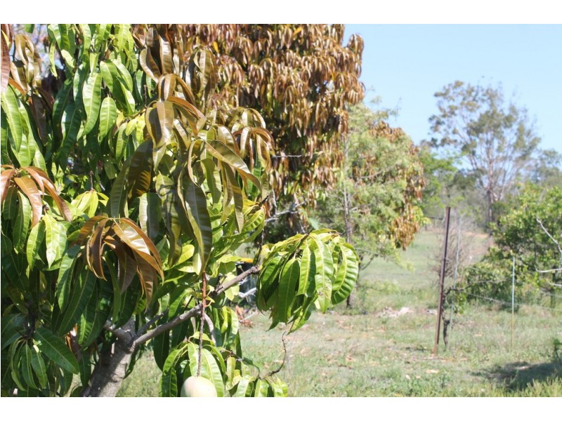 118 Gilgai Road, Delan QLD 4671