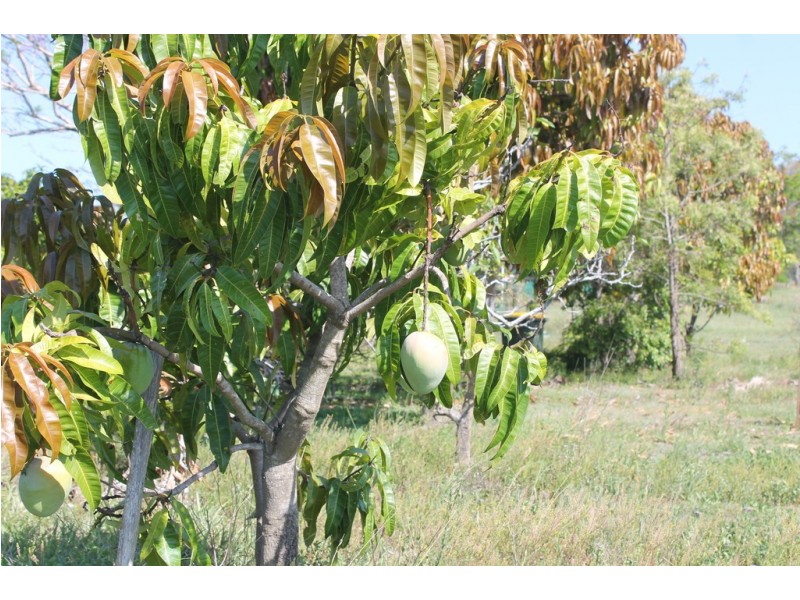 118 Gilgai Road, Delan QLD 4671