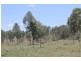 172 Pratts Road, Drinan QLD 4671