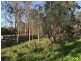 89-101 Lenihans Road, Electra QLD 4670