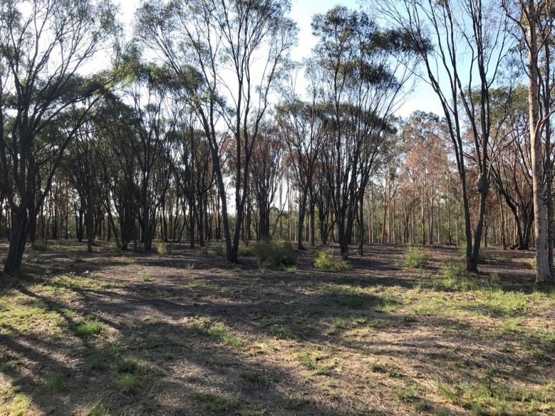 89-101 Lenihans Road, Electra QLD 4670