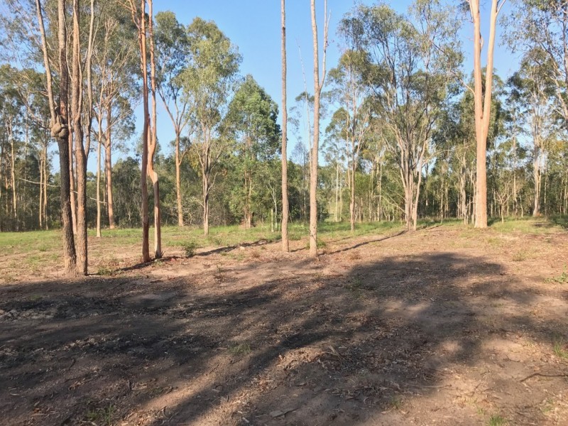 89-101 Lenihans Road, Electra QLD 4670