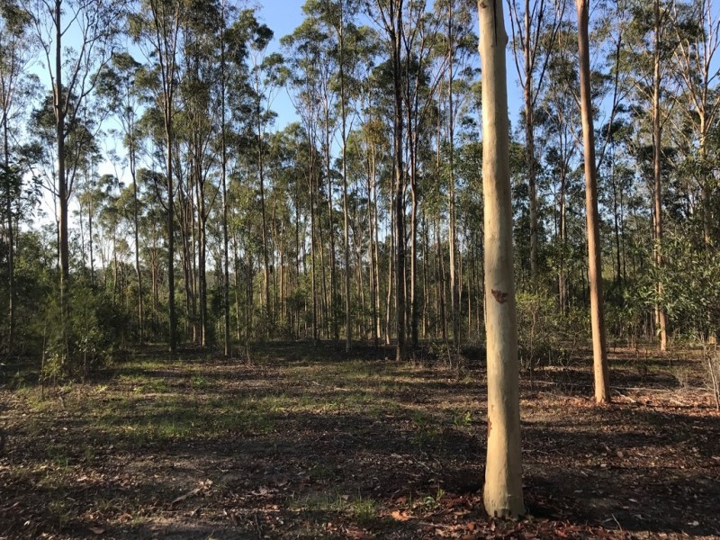 89-101 Lenihans Road, Electra QLD 4670