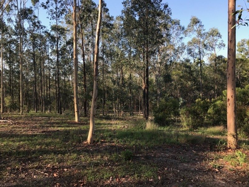 89-101 Lenihans Road, Electra QLD 4670