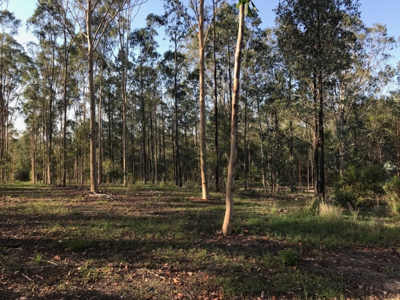 89-101 Lenihans Road, Electra QLD 4670