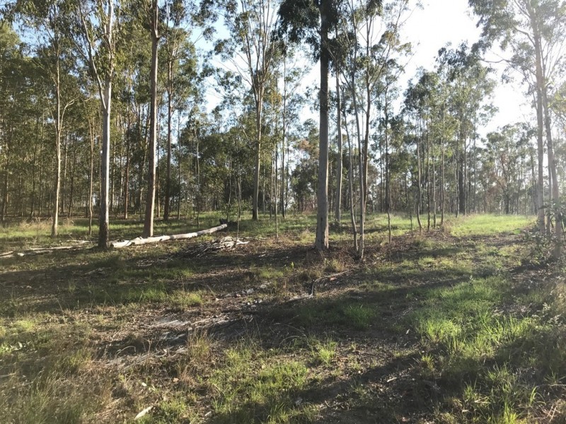 89-101 Lenihans Road, Electra QLD 4670