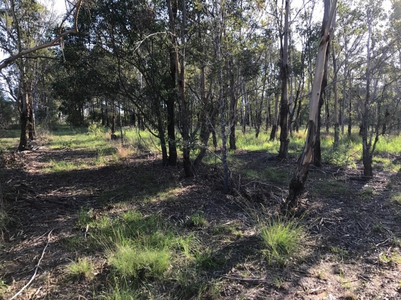 89-101 Lenihans Road, Electra QLD 4670