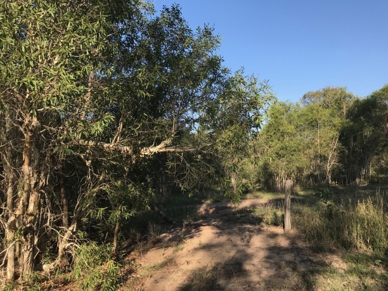 89-101 Lenihans Road, Electra QLD 4670