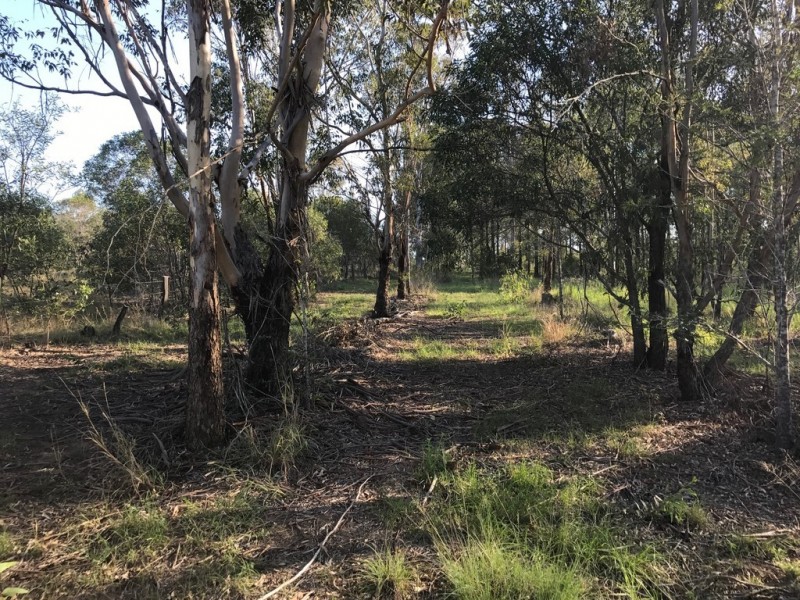 89-101 Lenihans Road, Electra QLD 4670