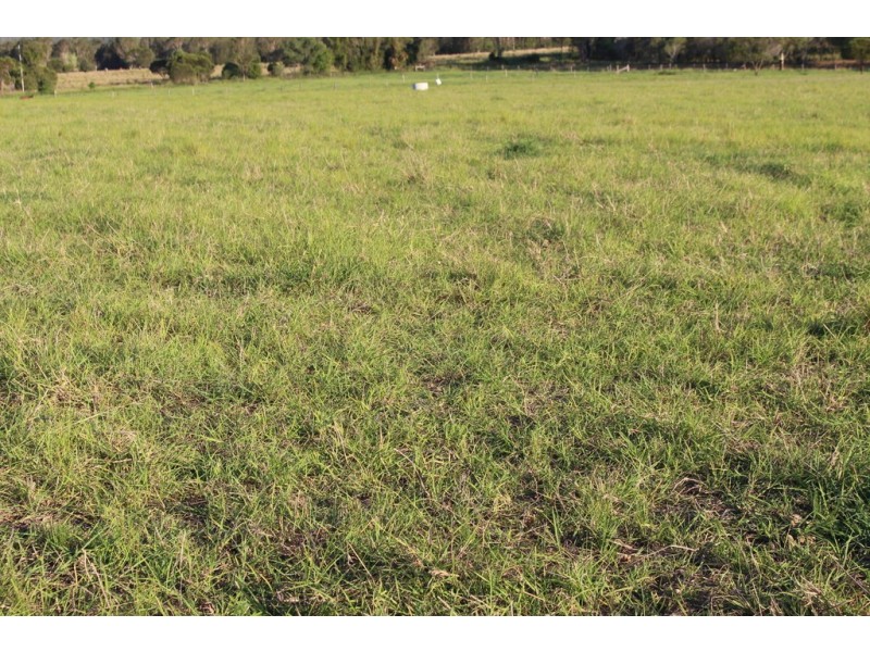 224 Abbotsford Mountain Road, Bucca QLD 4670