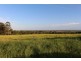 224 Abbotsford Mountain Road, Bucca QLD 4670