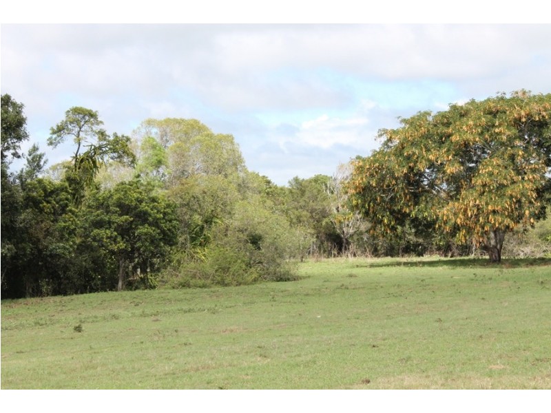 170 Nicolsons Road, Sharon QLD 4670