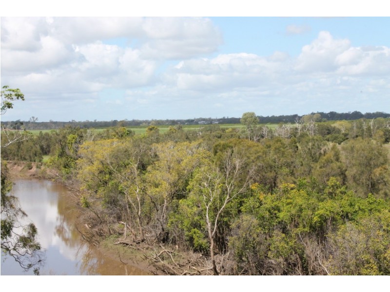 170 Nicolsons Road, Sharon QLD 4670