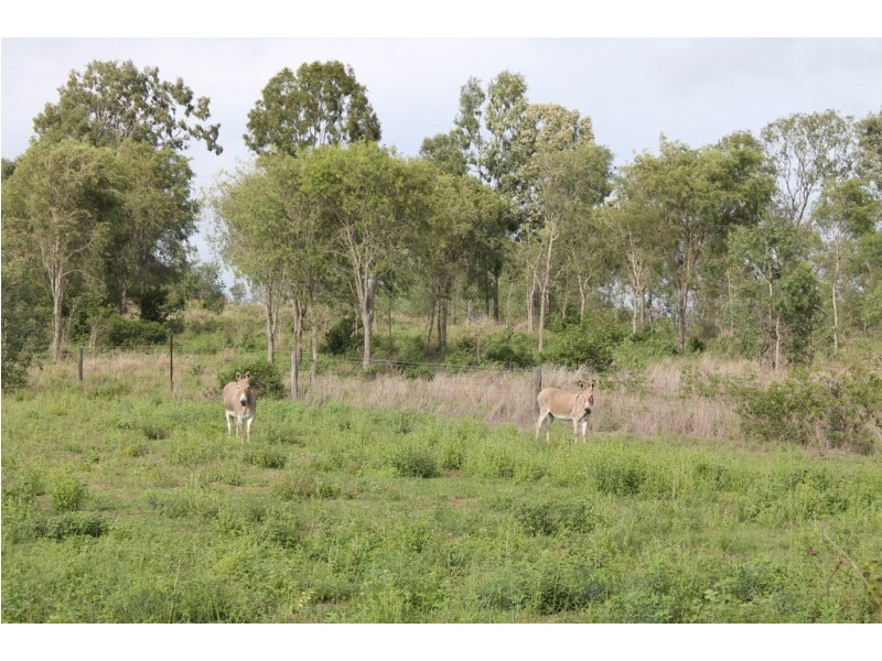 950 Gin Gin Mt Perry Road, Moolboolaman QLD 4671