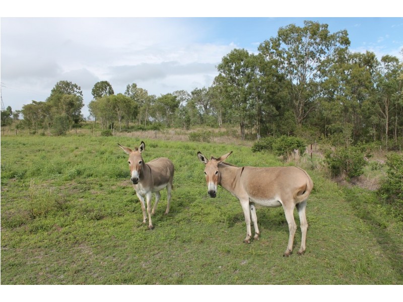 950 Gin Gin Mt Perry Road, Moolboolaman QLD 4671