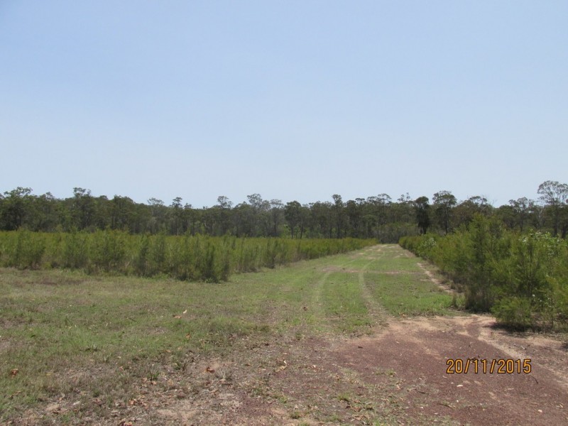 97 Steeds Road, Winfield QLD 4670