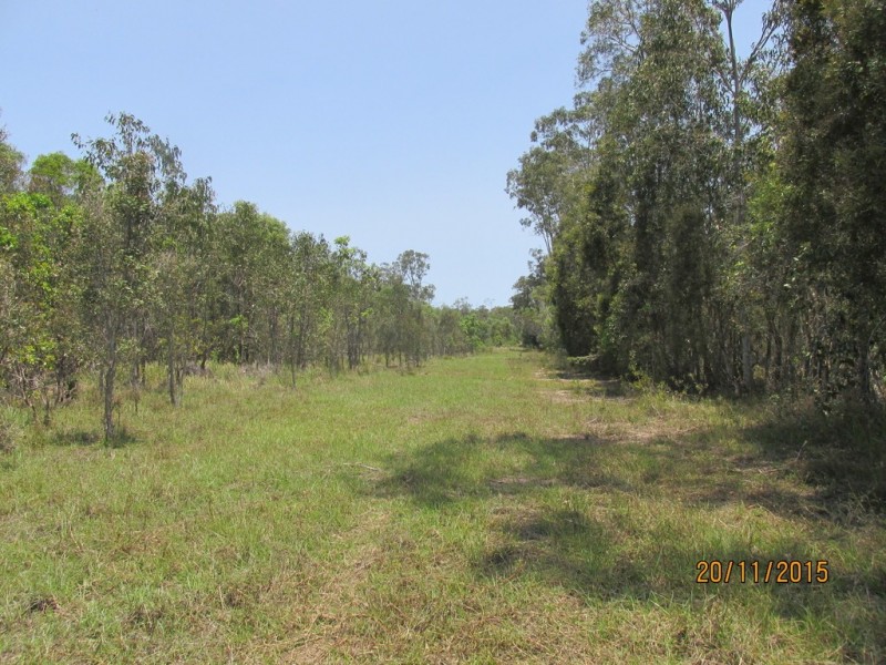 97 Steeds Road, Winfield QLD 4670