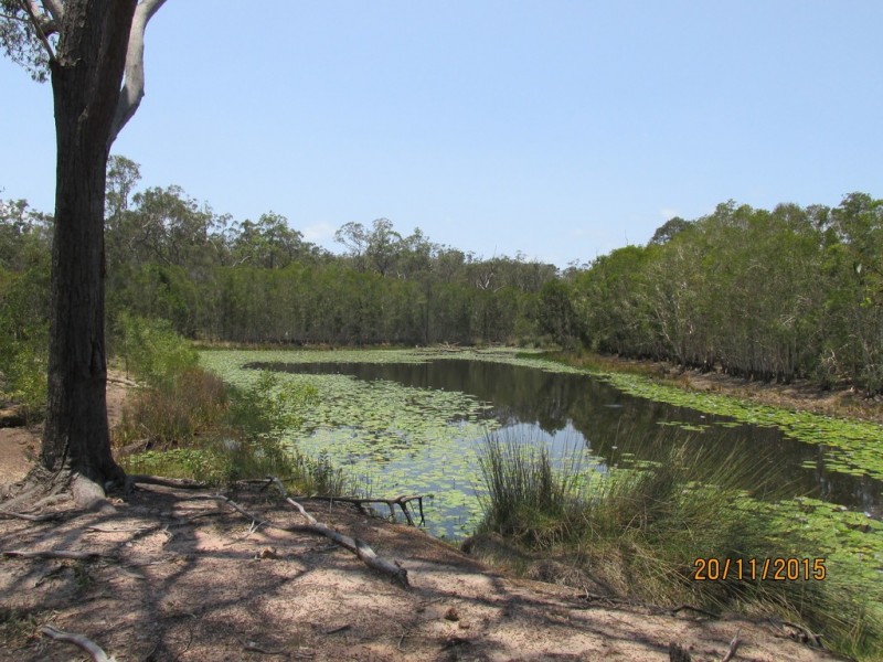 97 Steeds Road, Winfield QLD 4670
