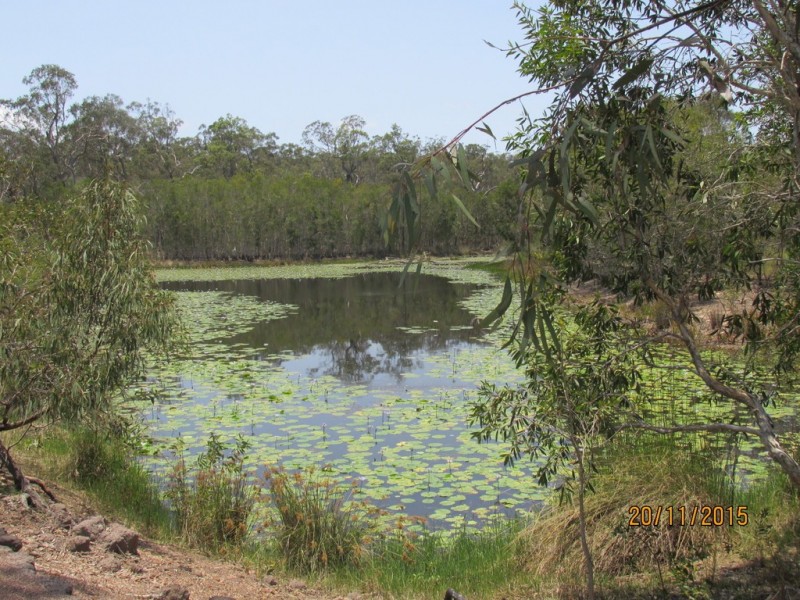 97 Steeds Road, Winfield QLD 4670