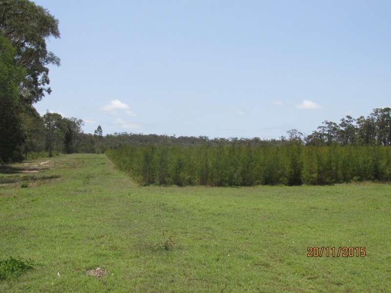 97 Steeds Road, Winfield QLD 4670