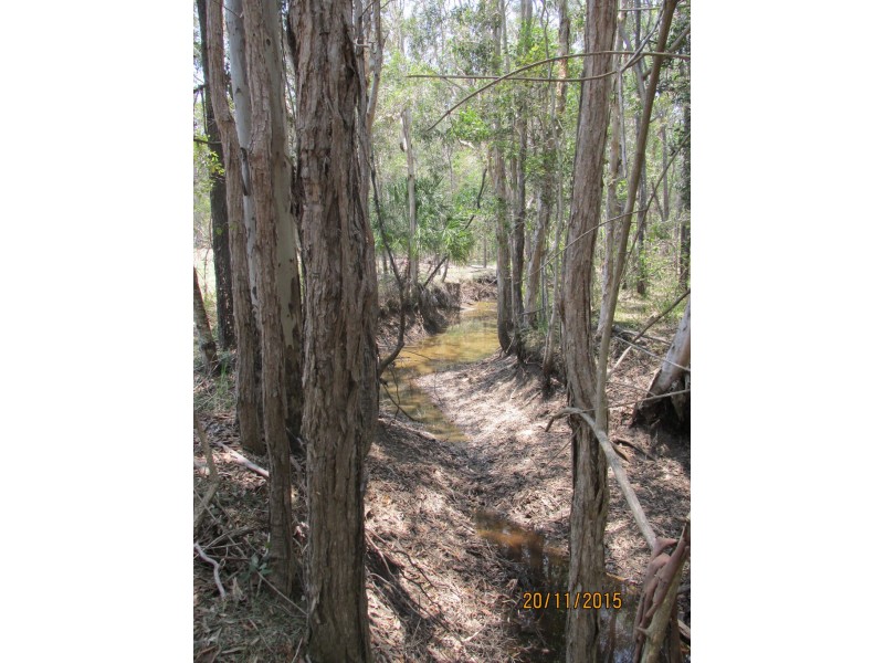 97 Steeds Road, Winfield QLD 4670