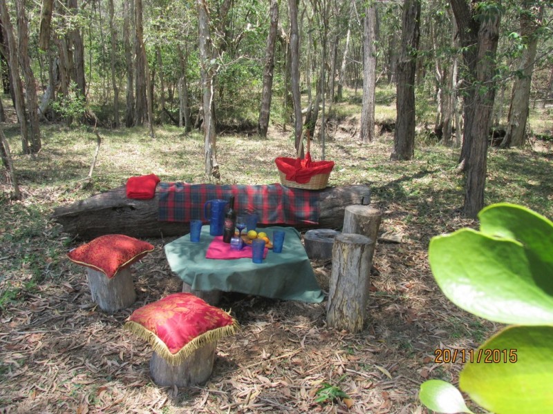 97 Steeds Road, Winfield QLD 4670