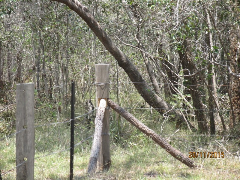 97 Steeds Road, Winfield QLD 4670