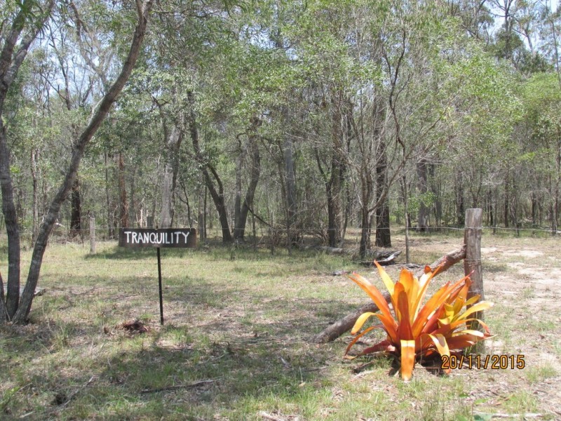 97 Steeds Road, Winfield QLD 4670