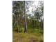 Lot 6 Doughboy Road, Doughboy QLD 4671