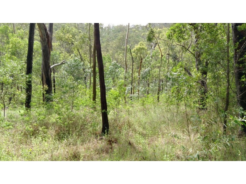 Lot 6 Doughboy Road, Doughboy QLD 4671