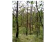 Lot 6 Doughboy Road, Doughboy QLD 4671