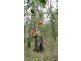 Lot 6 Doughboy Road, Doughboy QLD 4671