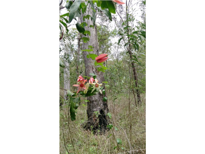 Lot 6 Doughboy Road, Doughboy QLD 4671