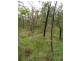 Lot 6 Doughboy Road, Doughboy QLD 4671