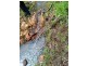 Lot 6 Doughboy Road, Doughboy QLD 4671