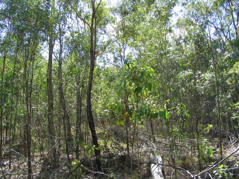 Lot 6 Doughboy Road, Doughboy QLD 4671