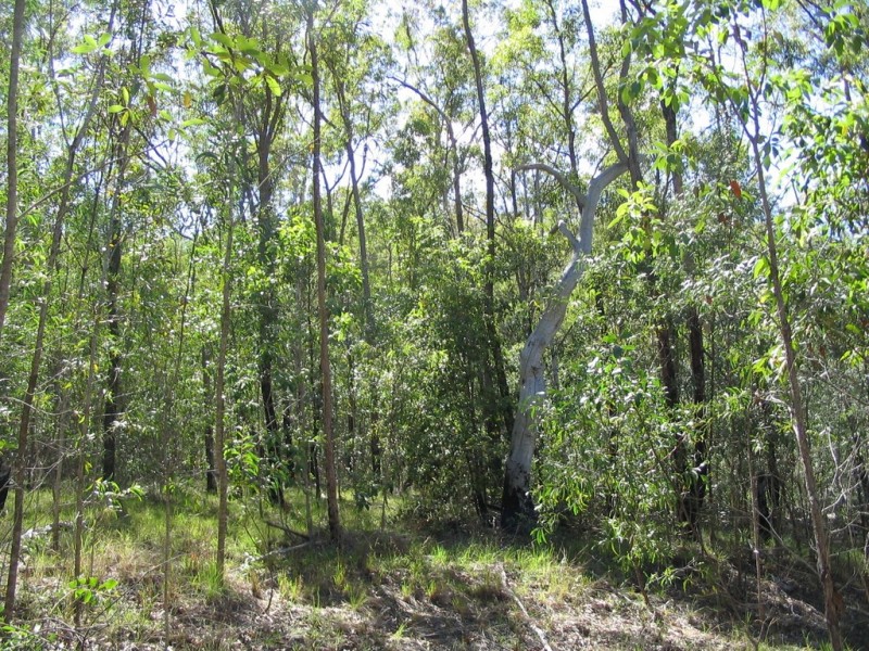 Lot 6 Doughboy Road, Doughboy QLD 4671