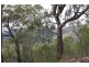 931 Nearum Road, Nearum QLD 4671