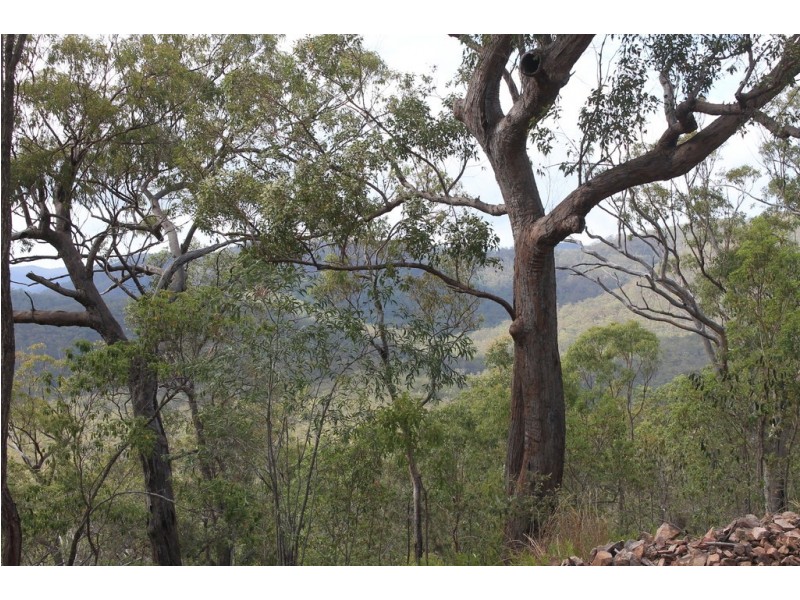 931 Nearum Road, Nearum QLD 4671