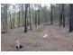 931 Nearum Road, Nearum QLD 4671