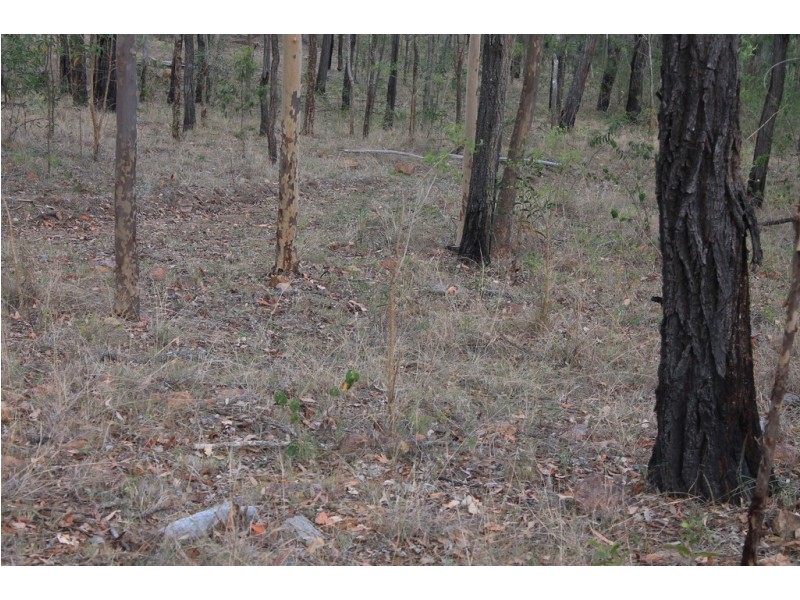 931 Nearum Road, Nearum QLD 4671