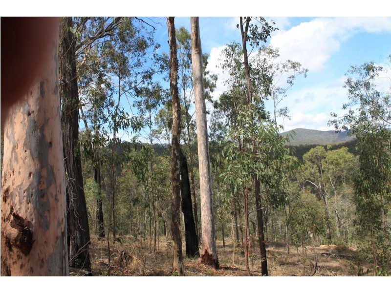 931 Nearum Road, Nearum QLD 4671