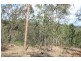 931 Nearum Road, Nearum QLD 4671
